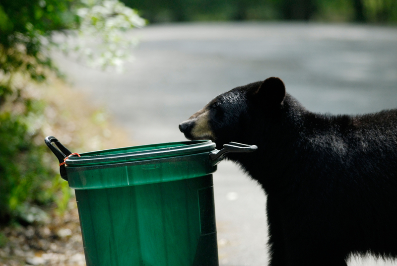 Don’t Tempt Them | Alamy Stock Photo by Martin Shields