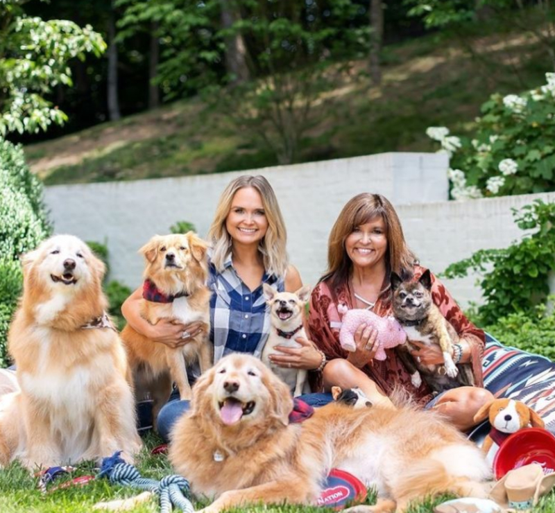 Miranda Lambert: Nine Rescue Dogs | Instagram/@mirandalambert