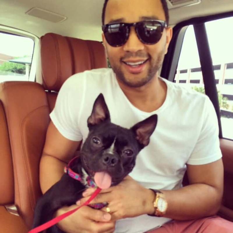 John Legend: Penny | Instagram/@johnlegend