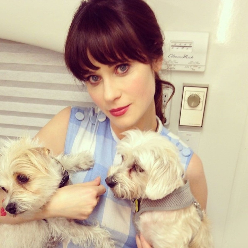 Zooey Deschanel: Dot and Zelda | Instagram/@zooeydeschanel