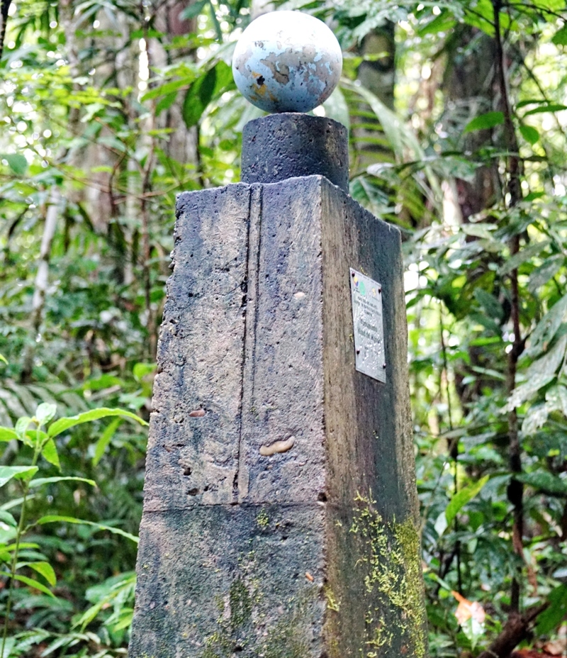 Nur im Amazonas | Shutterstock