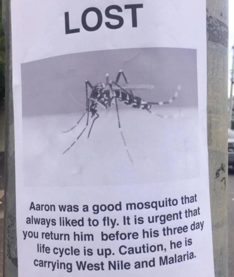 Begrenzte Zeit, Aaron zu finden | Reddit.com/renneyman123