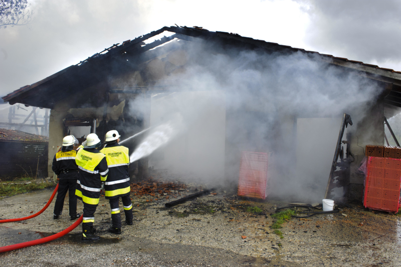 Feuer, elektrische Kabel und die Rettung von Tieren | Alamy Stock Photo