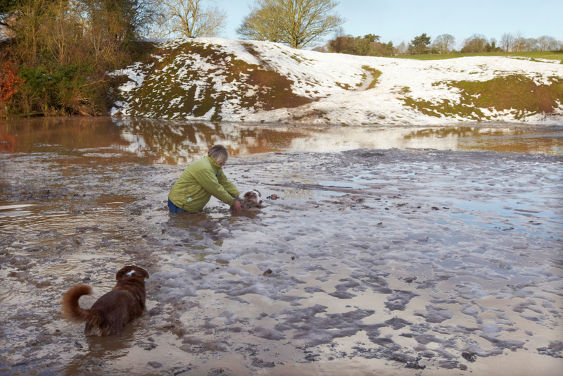 In einen eiskalten See, um einen Hund zu retten | Alamy Stock Photo