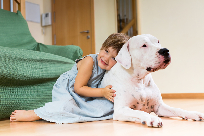 Dogo Argentino | Shutterstock