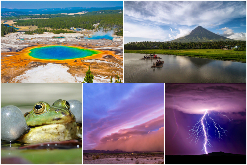 Die Warnsignale der Natur, dass Gefahr nahe ist | Shutterstock & Alamy Stock Photo by Panther Media GmbH/Burkhard & John Sirlin & RooM the Agency/DeepDesertPhoto