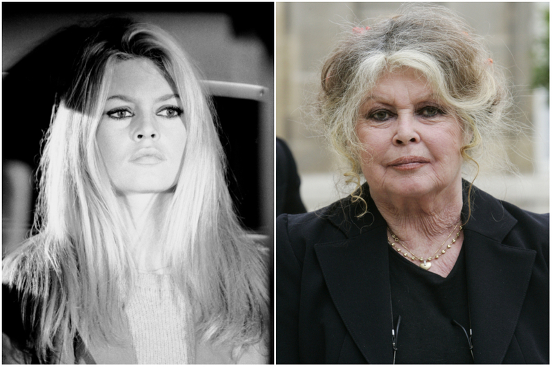 Brigitte Bardot | Alamy Stock Photo & Getty Images Photo by Gilles BASSIGNAC/Gamma-Rapho 