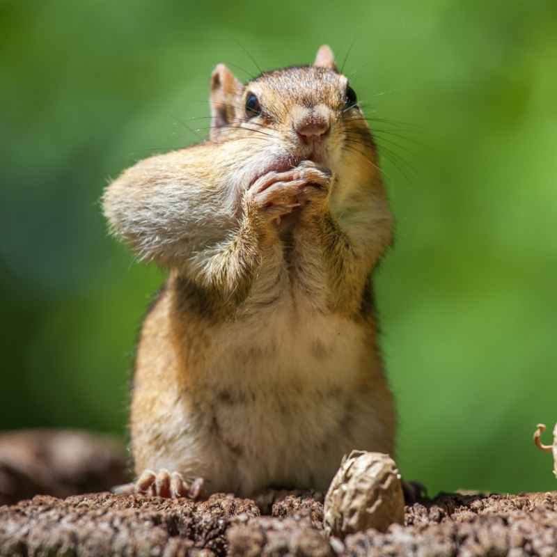 Habe ich etwas zwischen meinen Zähnen? | colacat/Shutterstock