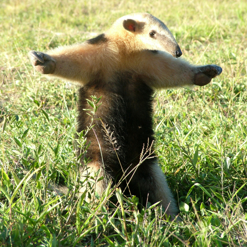 Hey! Hey! Entspannt euch mal alle! | Alamy Stock Photo by imageBROKER GmbH & Co. KG/Thomas Vinke