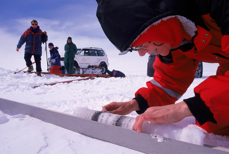 Bakterien im Überfluss | Alamy Stock Photo by ARCTIC IMAGES