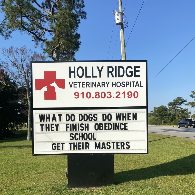 Höhere Bildung und Erleuchtung für Hunde | Facebook/@HollyRidgeVet