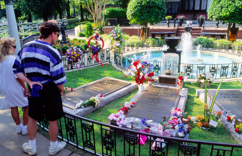 Elvis Presley | Alamy Stock Photo by David Lyons 