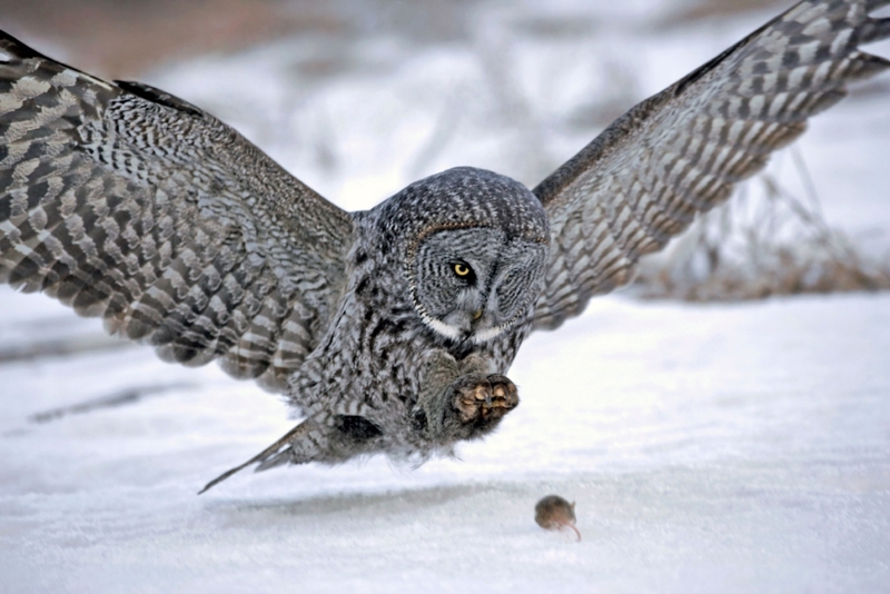 Die Kraft der Natur | Alamy Stock Photo by Rolf Kopfle