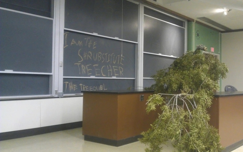 Ein Baum ist der beste Lehrer | Reddit.com/TheSilverFalcon