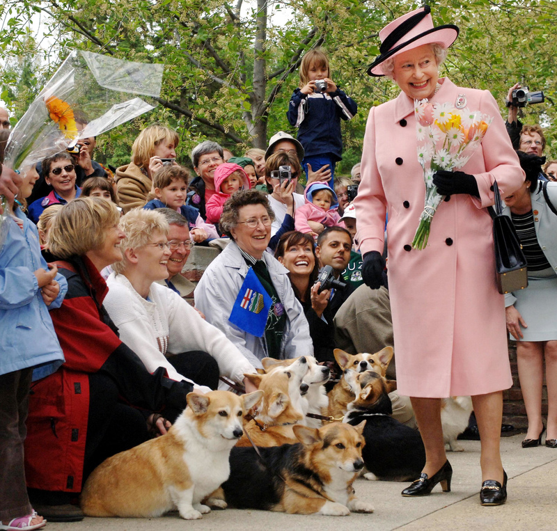 Los corgis reales siempre se salen con la suya | Alamy Stock Photo by Fiona Hanson/PA Images