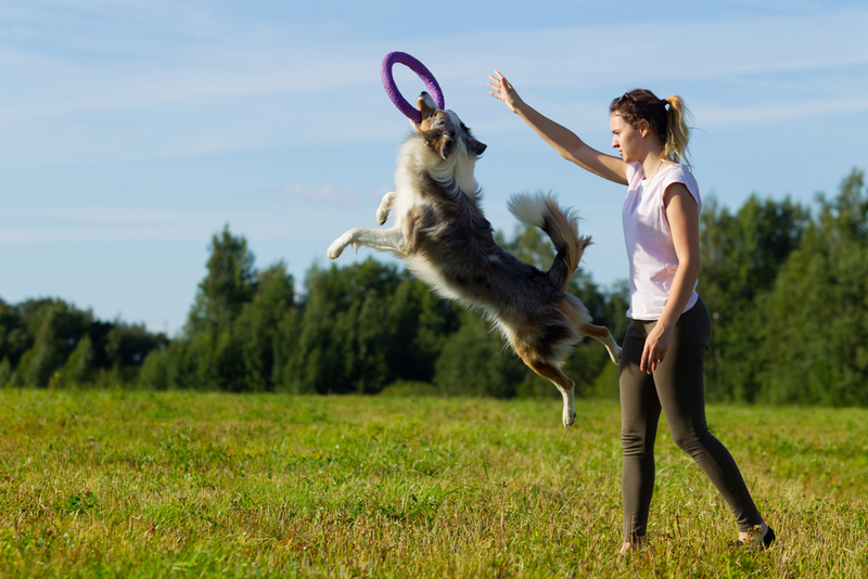 Celebra cada vez que responde a una llamada de atención | Shutterstock Photo by Oleg Shakirov