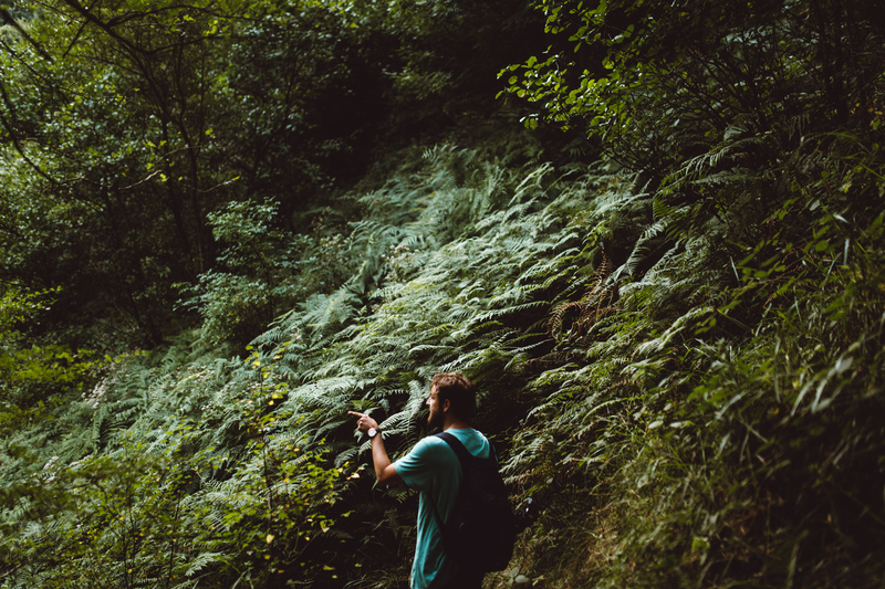 Las cosas empezaban a mejorar | Adobe Stock Photo by ADDICTIVE STOCK