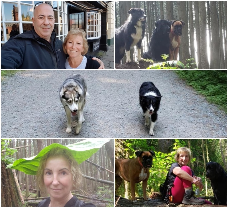 La impactante desaparición de Annette y sus tres perros | Facebook/@marcel.poitras.10 & @AnnettesDoggieDaycare