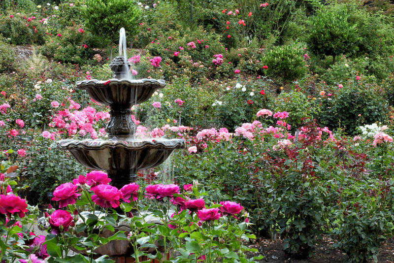 El jardín secreto | Shutterstock