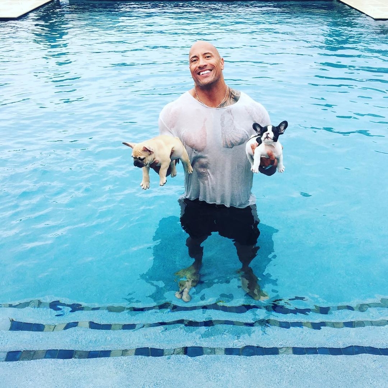 Es amante de los perros | Instagram/@therock