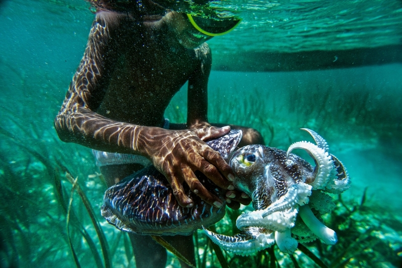 Los pescadores del sudeste asiático | Alamy Stock Photo by Imaginechina Limited