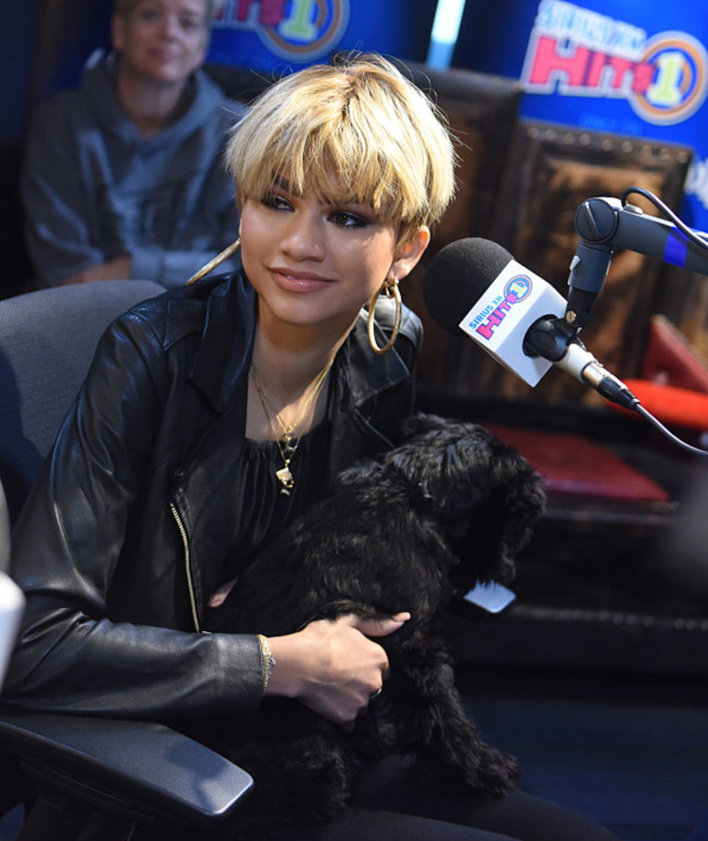 Su perro tiene su propia cuenta de Instagram | Getty Images Photo by Vivien Killilea/SiriusXM