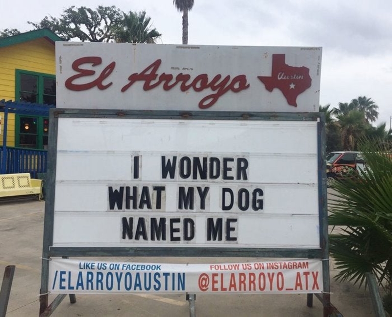 El mejor amigo del hombre | Facebook/@elarroyoatx