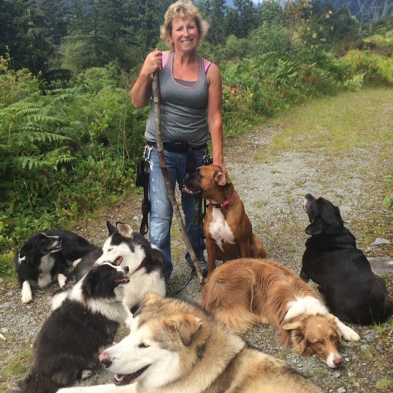 Paseadora de perros | Facebook/@annette.poitras.7