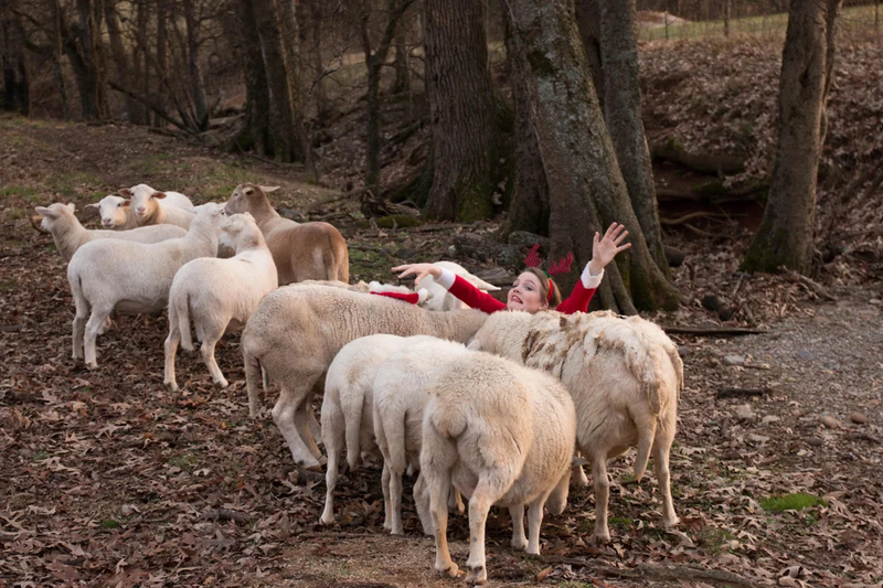 Una tarjeta de Navidad que salió mal | Reddit.com/mydogismysoulmate