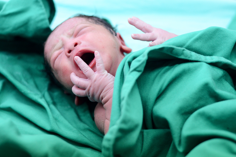 Una pequeña niña | Shutterstock