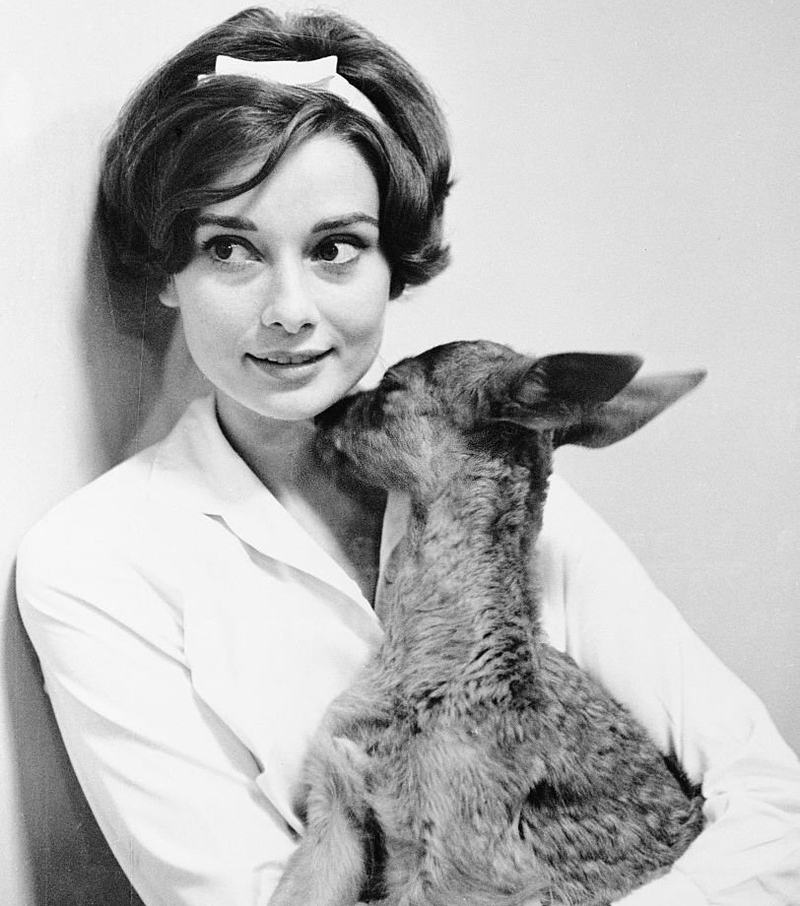 Audrey Hepburn, ¡es como nosotros! | Getty Images Photo by Bettmann
