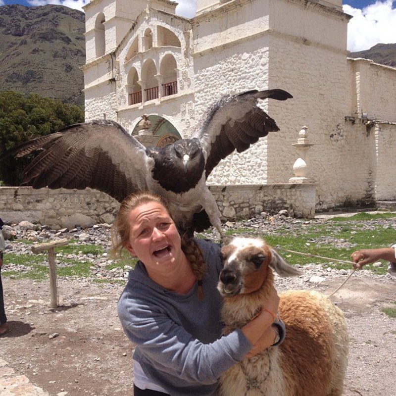 Amigos peludos y emplumados | Imgur.com/fbvUf