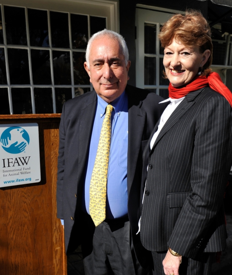 Ben Stein y Alexandra Denman | Getty Images Photo by Jerald Harris