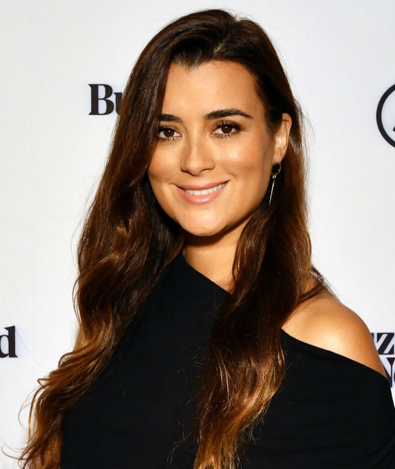 Cote De Pablo | Getty Images Photo by Slaven Vlasic