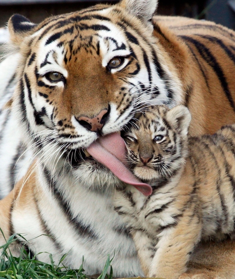 Todos hemos pasado por eso | Alamy Stock Photo by REUTERS/Ilya Naymushin