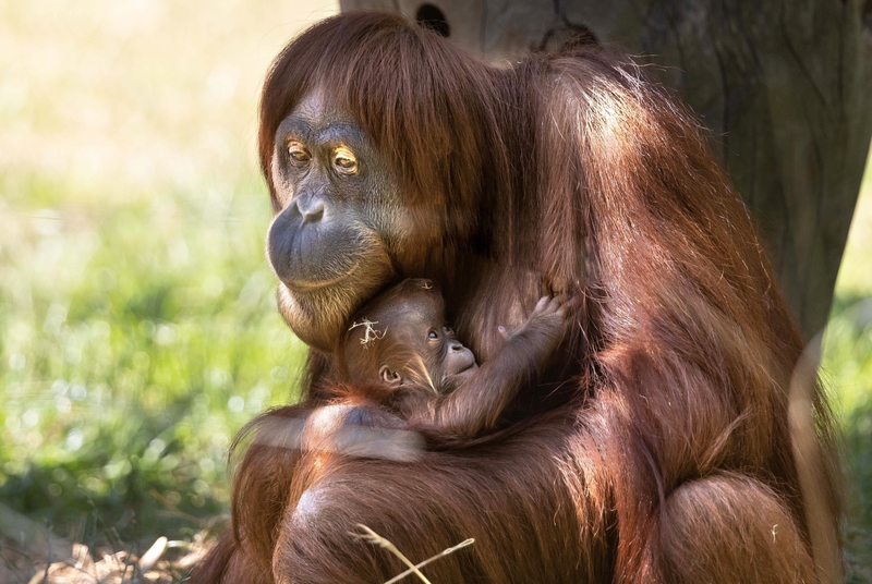 Ese look Karen | Alamy Stock Photo by Dieter Menne/dpa picture alliance/Alamy Live News