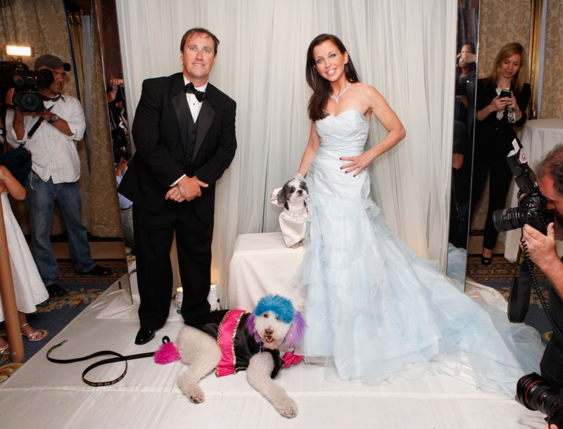 La boda canina definitiva | Getty Images Photo by Cindy Ord