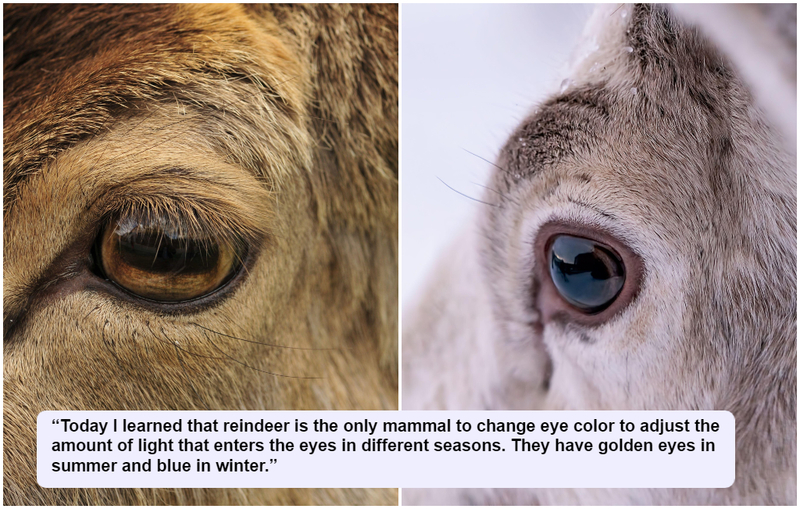 Onde conseguiu esses olhos lindos? | Alamy Stock Photo