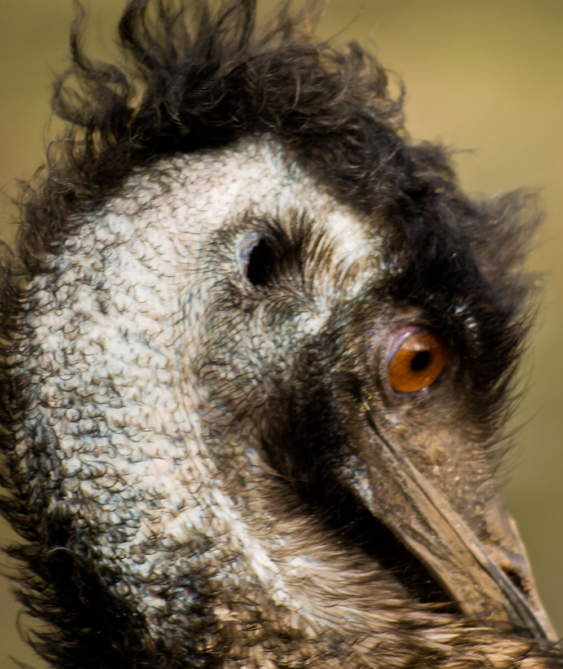 Meu cabelo está péssimo hoje... | Flickr Photo by William Warby