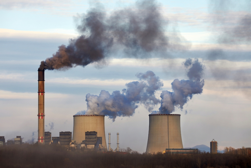 Apaixonados por combustíveis fósseis | Peter Gudella/Shutterstock