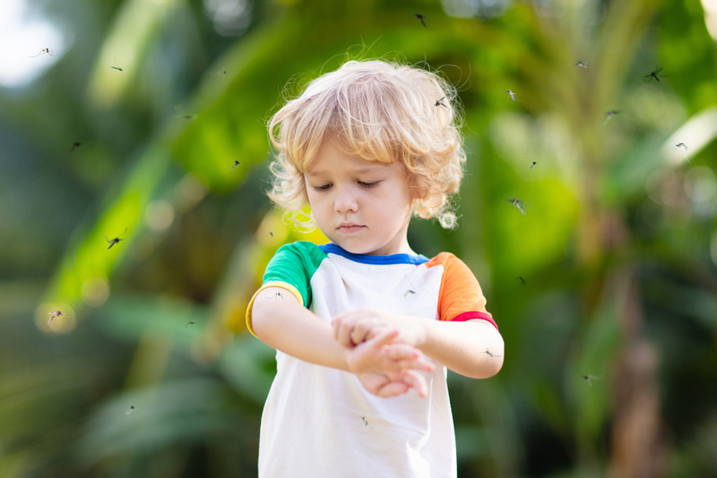 O Gene que Protege contra a Malária | FamVeld/Shutterstock