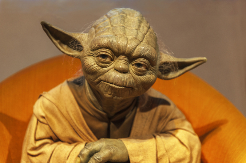 Não perturbe Yoda | Yuri Turkov/Shutterstock