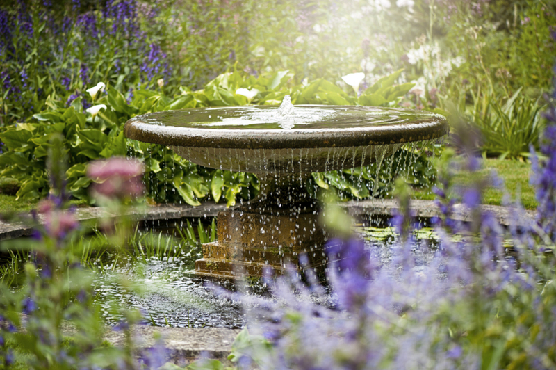 Fazer A Água Do Seu Lago Parecer Perfeita | Getty Images Photo by Jacky Parker Photography