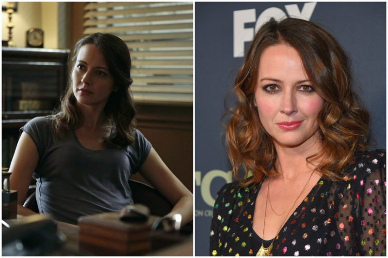 Amy Acker – “Person Of Interest” | MovieStillsDB & Shutterstock