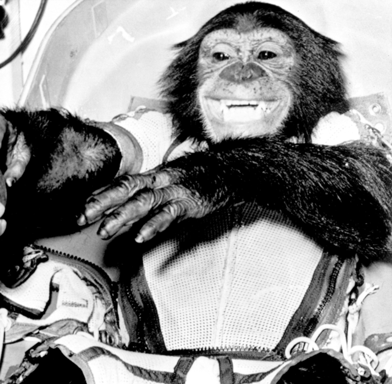 Ham, O Chimpanzé | Getty Images Photo by HUM Images/Universal Images Group