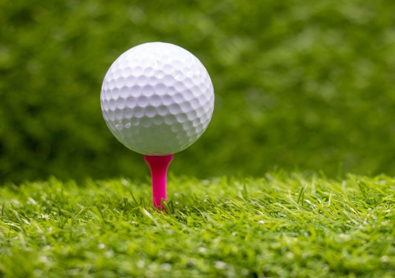 Covinhas Nas Bolas De Golfe | Shutterstock