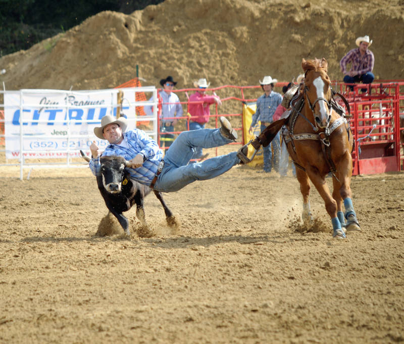 O cavalo vence novamente | Alamy Stock Photo by nick barounis 