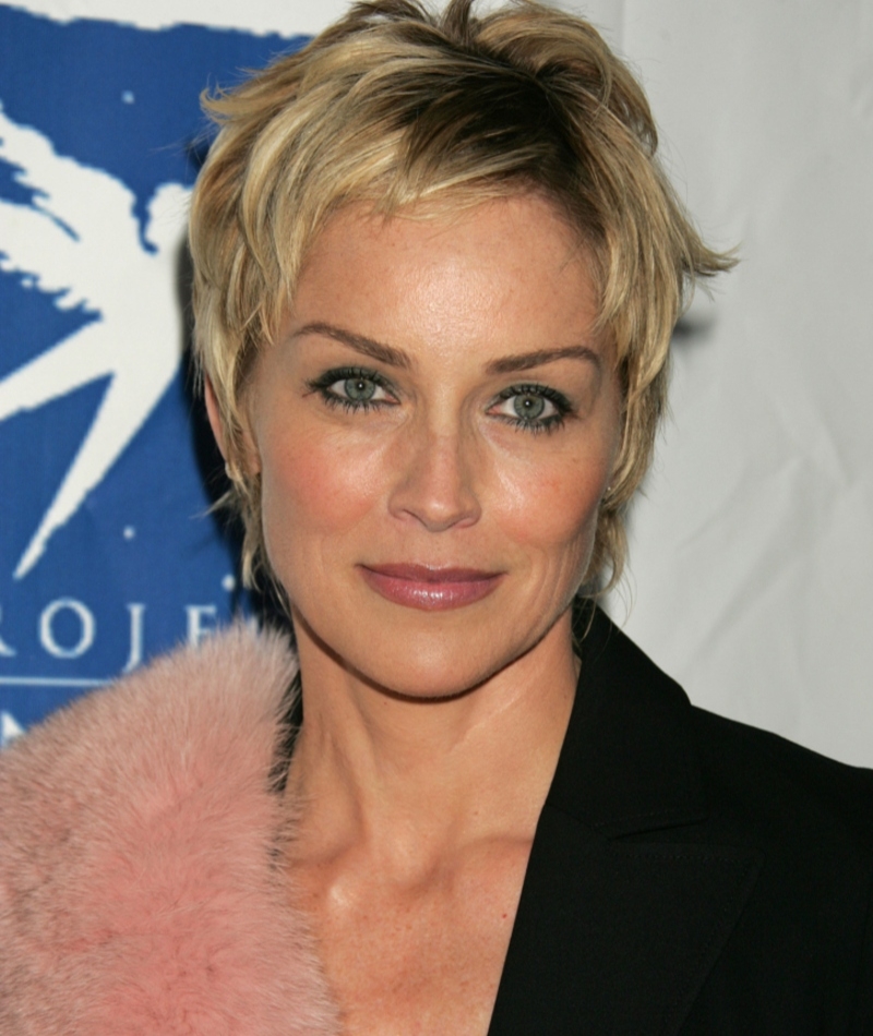 Sharon Stone | Alamy Stock Photo by Pictorial Press Ltd 