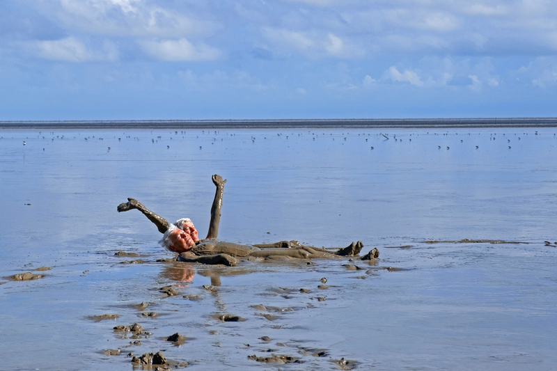 As Happy as Pigs in the Muck | Getty Images Photo by Marica van der Meer/Arterra/Universal Images Group