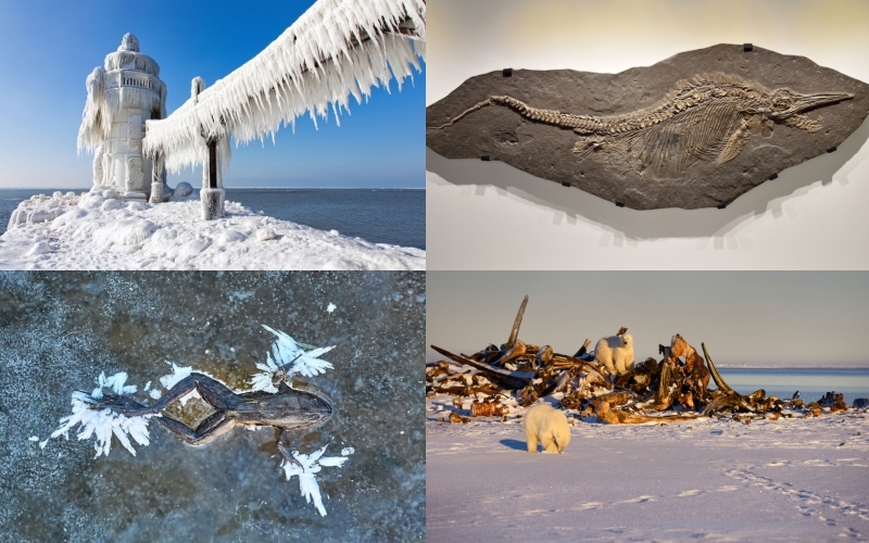 The Coolest Things Ever Found Trapped in Ice | Alamy Stock Photo